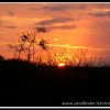 2003_sa_aktion_026