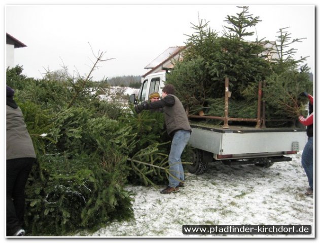 2010_weihnachtsbaumsammeln_004