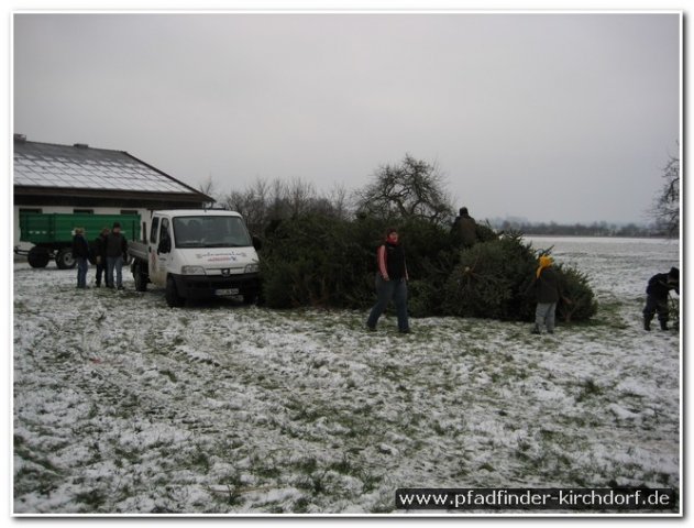 2010_weihnachtsbaumsammeln_012