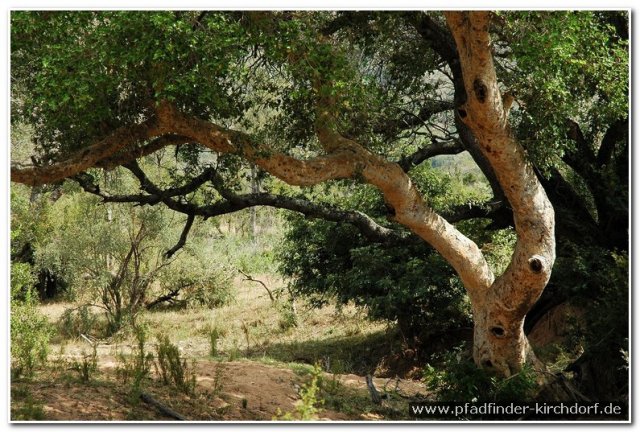 2015_s_afrika_067
