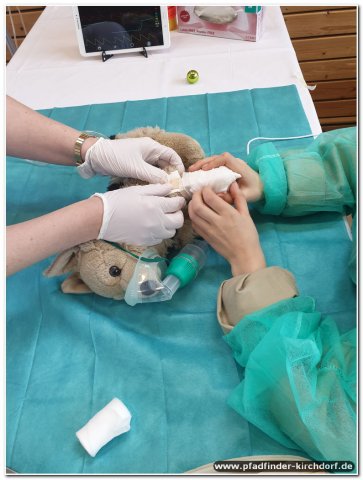 2019_teddyklinik_18